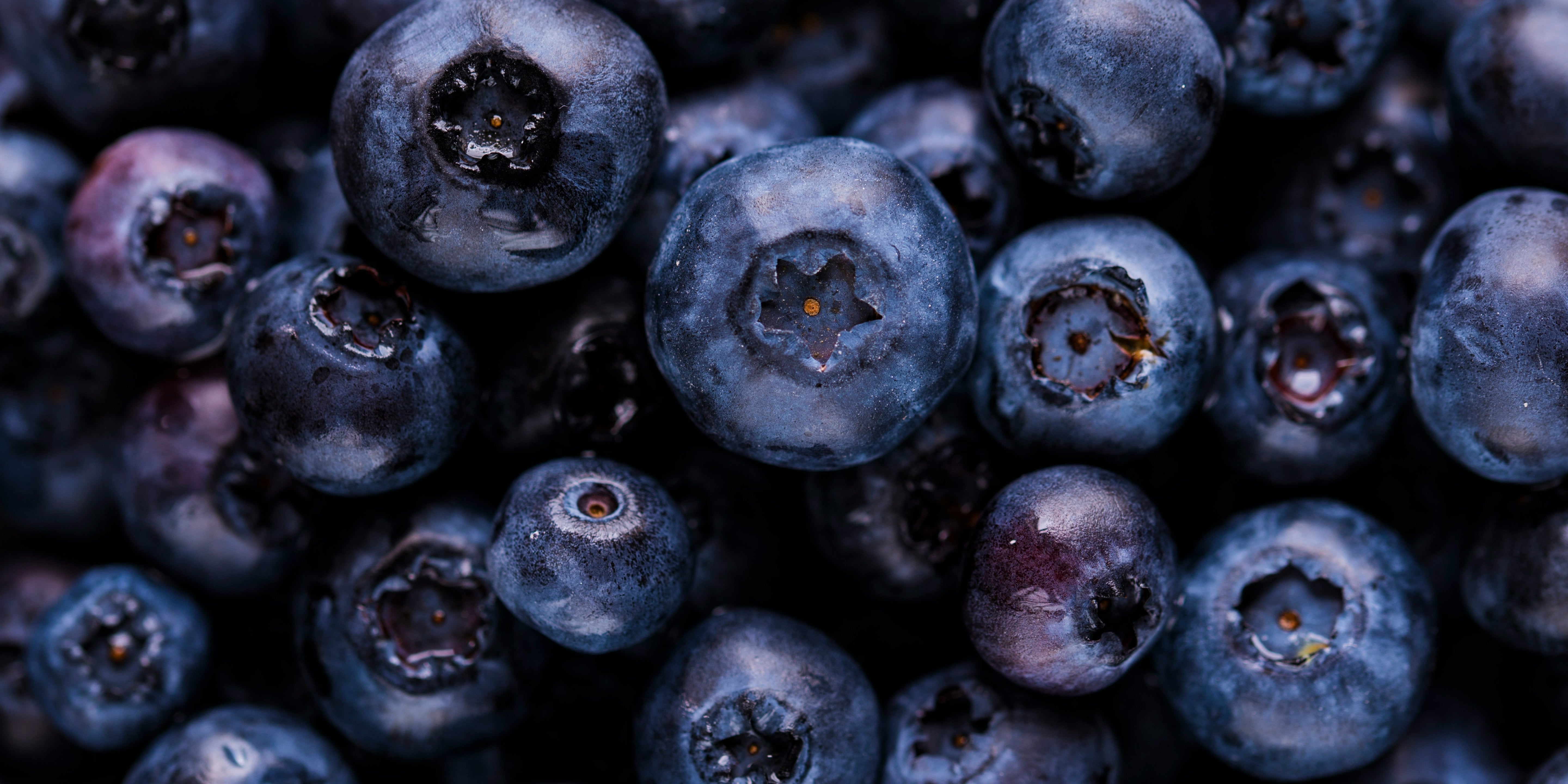 What Is High Frequency Food? And Why Your Body Knows the Difference