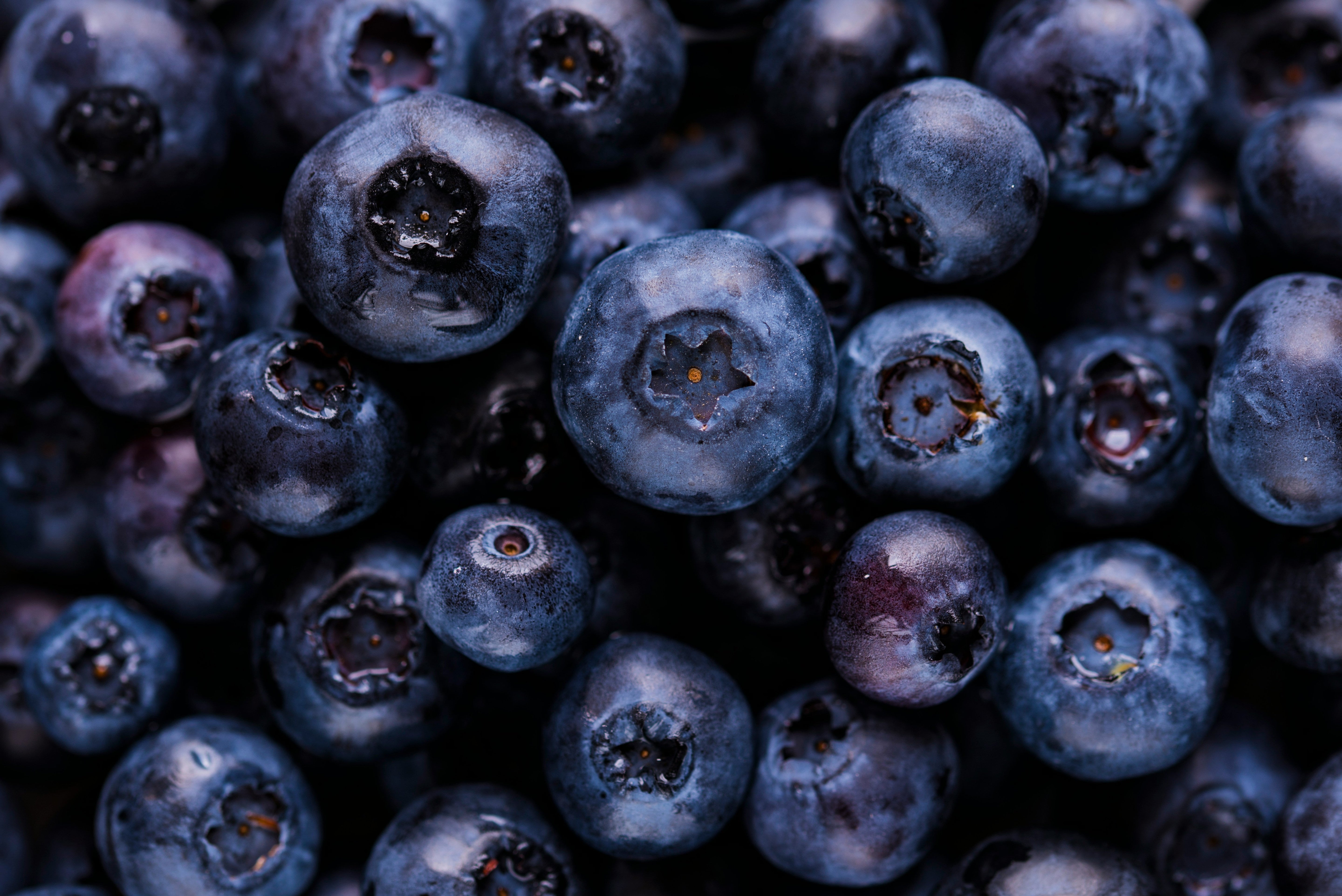 What Is High Frequency Food? And Why Your Body Knows the Difference