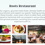 Intentional Time Off Solution: Upgrade Your Life with Luxury Detox & Ayahuasca Retreat