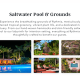 Intentional Time Off Solution: Upgrade Your Life with Luxury Detox & Ayahuasca Retreat