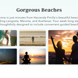 Intentional Time Off Solution: Upgrade Your Life with Luxury Detox & Ayahuasca Retreat